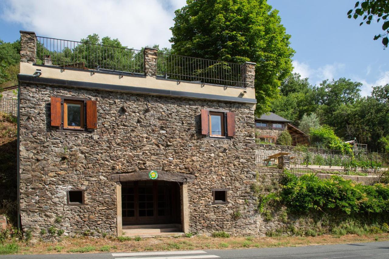 Appartement - Gite De La Moulinquie Saint-Cirgue Bagian luar foto